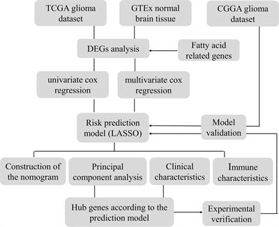 Characterization of Fatty Acid Metabolism-Related Genes Landscape for Predicting Prognosis and Aiding Immunotherapy in Glioma Patients